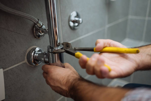 Best Plumbing Inspection Services  in Streamwood, IL