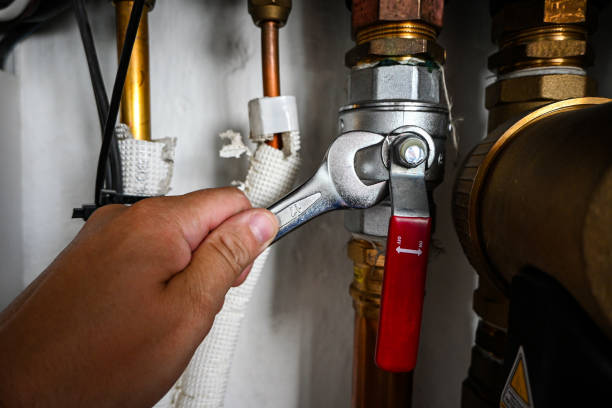 Best Toilet Repair Services  in Streamwood, IL